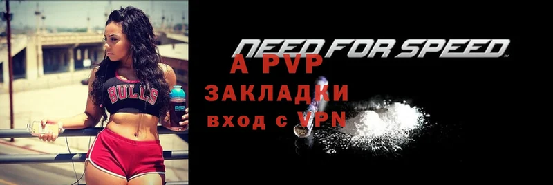 A PVP СК КРИС  Кедровый 